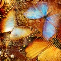 Artistic butterflies