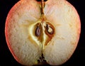 An artistic close-up of an apple\'s cross-section revealing its seeds and intricate core structure