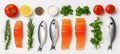 Artistic collage of appetizing fish products, elegantly divided with white lines, brightly lit