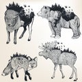 Artistic collection of hand drawn animals