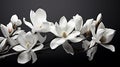 An artistic composition of black and white magnolia blossoms