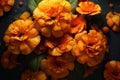 Artistic composition featuring vibrant marigold