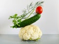 Artistic composition of plants. Abstract balancing structure made of cucumbers, tomatoes, cauliflower and greens. Copy