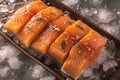 Artistic culinary concept Portioned salmon fillets showcased on ice