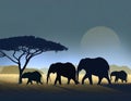 Elephant family strolling beneath an acacia tree at sunset: an artistic portrayal Royalty Free Stock Photo