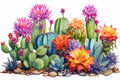 An artistic depiction featuring vibrant watercolor cacti embellished with stunning pink and orange blooms set against a clean Royalty Free Stock Photo