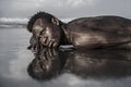 Artistic expressive portrait of young attractive and sexy black African American man with athletic muscular body posing cool in Royalty Free Stock Photo