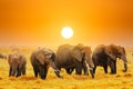 Artistic fantastic african sunset landscape. African elephants in Amboseli National Park. Kenya, Africa at a sunset Royalty Free Stock Photo