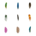 Artistic feather icon set, realistic style Royalty Free Stock Photo