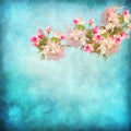 Artistic floral background Royalty Free Stock Photo