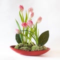 Artistic Flower Arrangement with Pink Tulips Royalty Free Stock Photo