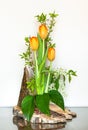 Artistic Flower Arrangements with Three Tulips on a Piece of Wood.