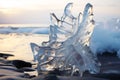 Artistic formations captured as a result of the gradual melting of ice, creating intricate ice sculptures