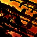 Artistic Fractal Grunge. Modern Art Background. Abstract Old Texture. Grungy Illustration Design. Dark Brown Rusty Orange Colors.