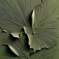 Artistic Ginkgo Leaf Texture on Green Background