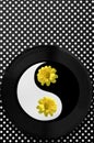 Artistic and graphic image in black, white and yellow