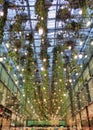 Artistic green ceiling in supermarket, based in plants