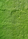 Artistic Green Rough Stone Wall for Backdrop Royalty Free Stock Photo