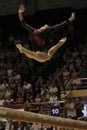 Artistic Gymnastics