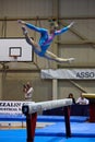 Artistic Gymnastics International Competition