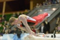 Artistic Gymnastics Royalty Free Stock Photo