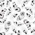 Artistic hand drawn graphic butterfly wings vector seamless pattern. Black and white outline background texture Royalty Free Stock Photo