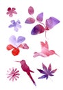 Artistic hand made Watercolor bird and floral elements on a white background. Purple, red, orange, pink and violet
