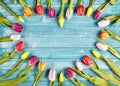Artistic heart shaped frame of fresh spring tulips