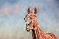 Artistic illustration of laughing horse