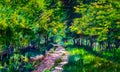 An impressionist style image of a forest with trees and a footpath running through it Royalty Free Stock Photo