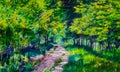 An impressionist style image of a forest with trees and a footpath running through it