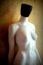 Artistic image of a white mannequin