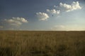 artistic landscape of field, clouds and vast views of nature