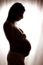 Artistic maternity silhouette