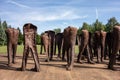 The artistic monument Nierozpoznani Unrecognized of the artist Magdalena Abakanowicz in Cytadela Park as a memorial of WWII