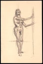 Artistic Nude: Sketch of a Model in Poised Elegance Royalty Free Stock Photo