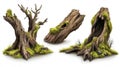 Artistic Old Tree Stumps with Moss Isolated on White Royalty Free Stock Photo
