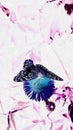 artistic photo of a butterfly that landed on a flower