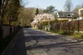 Quiet Residential Street near Tervuren Park in Belgium with Cherry Blossom Tree