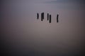 Artistic photo of wooden piles in water