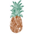 Artistic pineapple on white background.