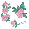 Artistic Pink Rose Vector with leaf