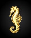 Gold polygonal seahorse on black background