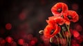 Artistic red poppies on black, symbolizing remembrance, armistice, and anzac day commemoration Royalty Free Stock Photo