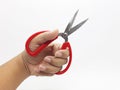 Artistic Red Scissor for Paper Craft Cutting in White Isolated Background 05