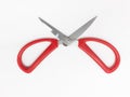 Artistic Red Scissor for Paper Craft Cutting in White Isolated Background 03