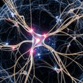 Rendering of a neuron in the human brain, displaying intricate Royalty Free Stock Photo