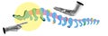 Artistic representation of human spinal column with colorful abstract elements and hands. Medical and anatomical themes