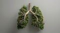 The tree lungs concept.AI generated image Royalty Free Stock Photo