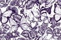 Artistic seamless pattern with menelaus blue morpho, giant swordtail, blue morpho, forest mother-of-pearl, alcides